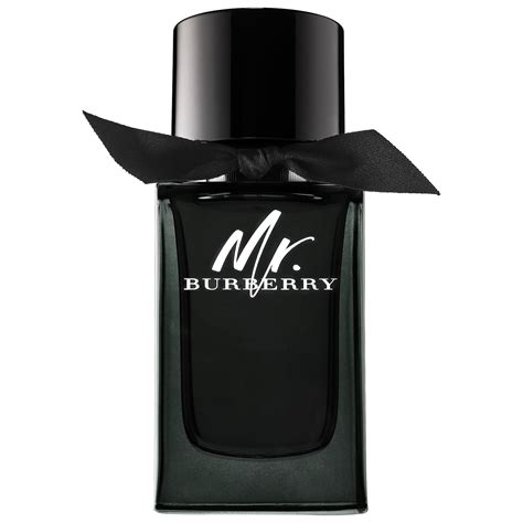 mr burberry eau de perfum spray 3 oz|mr burberry perfume review.